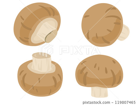 棕色蘑菇插圖集 棕色蘑菇插圖集 119807465