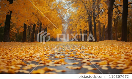Autumn alley with beautiful golden colors and leaves, foliage 119807672