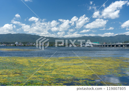 從守山市湖畔看琵琶湖大橋 從守山市湖畔看琵琶湖大橋 119807805