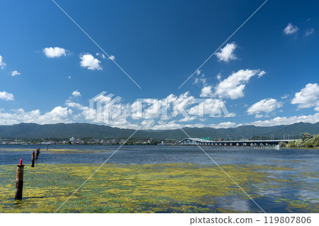 從守山市湖畔看琵琶湖大橋 從守山市湖畔看琵琶湖大橋 119807806