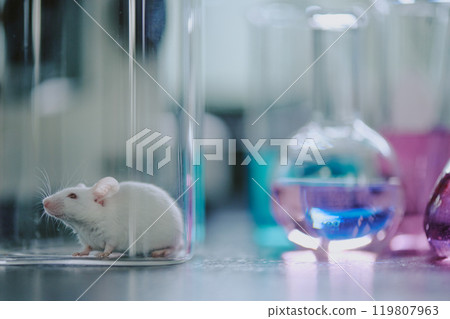 White mouse inside a laboratory with various glassware in background, including beakers with colored liquids. Setting suggests scientific experimentation and research 119807963
