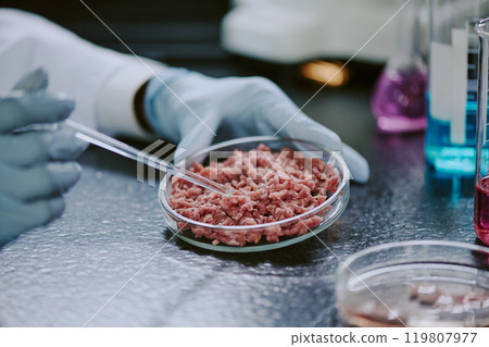 Scientist studying lab-grown meat samples by handling equipment in a laboratory setting. Research focuses on food science, innovation, and ecological sustainability in modern cuisine Scientist studying lab-grown meat samples by handling equipment in a laboratory setting. Research focuses on food science, innovation, and ecological sustainability in modern cuisine 119807977