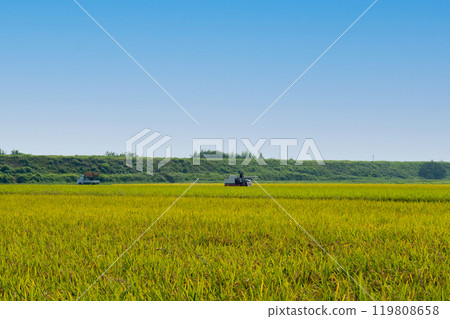 水稻收割場景 水稻收割場景 119808658
