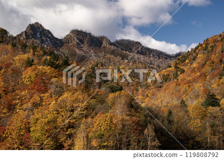 Autumn leaves of Jozankei Autumn leaves of Jozankei 119808792