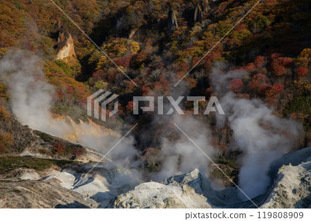 Noboribetsu Jigokudani 's autumn leaves Noboribetsu Jigokudani 's autumn leaves 119808909