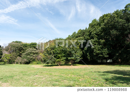 東京三鷹市大澤市野川河沿岸的水邊廣場的自然，野川公園旁邊，晴朗的秋天天空 119808988