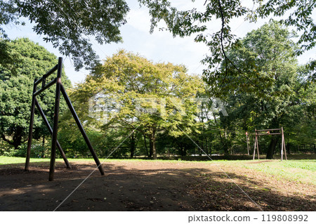 野川公園的泰山繩索，晴朗的秋日天空，東京三鷹市大澤 119808992