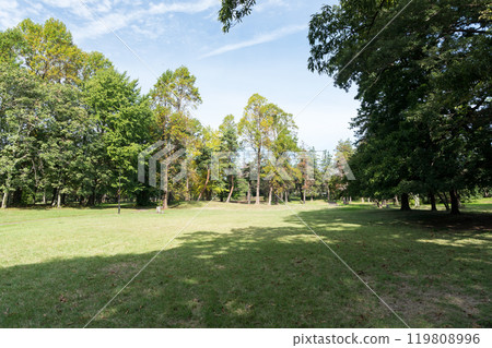 在野川公園玩耍,晴朗的秋日天空,東京三鷹市大澤 在野川公園玩耍,晴朗的秋日天空,東京三鷹市大澤 119808996