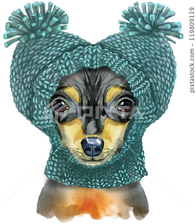 Watercolor portrait of toy terrier in green hat. Watercolor illustration Watercolor portrait of toy terrier in green hat. Watercolor illustration 119809119