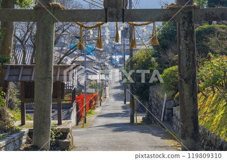 山科神社、鳥居的參道（京都府京都市山科區西野山巖谷町） 119809310