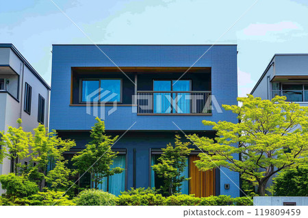 現代房屋和種植的形象 現代房屋和種植的形象 119809459