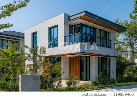 Image of a modern house and plants 119809460
