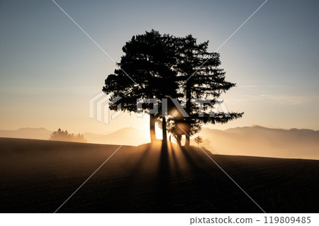Morning mist ground Morning mist ground 119809485