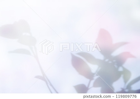 Colorful plant shadow background, cover image 119809776