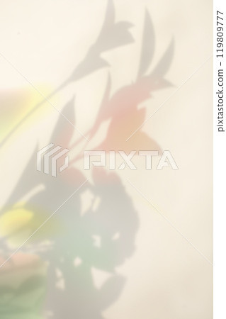 Colorful plant shadow background, cover image 119809777