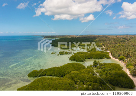 Beaches with white sands and mangrove garden in Bantayan Island. Cebu, Philippines. 119809963