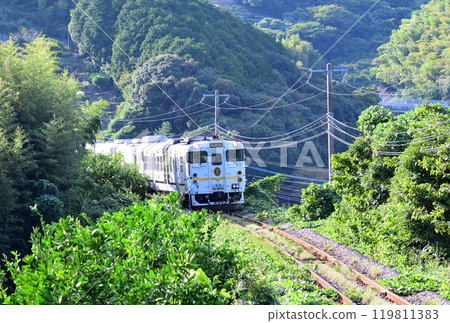 兩星4047 兩星4047 119811383