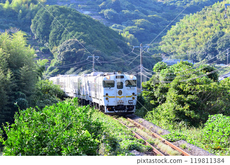 Two Stars 4047 119811384