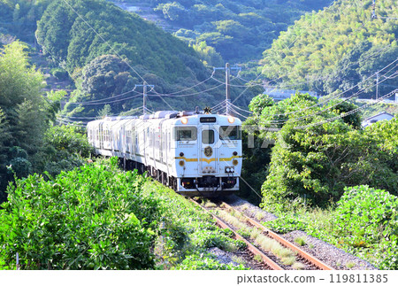 兩星4047 119811385