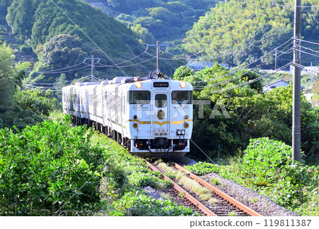 兩星4047 119811387