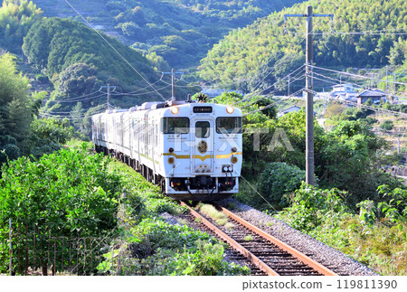 兩星4047 119811390