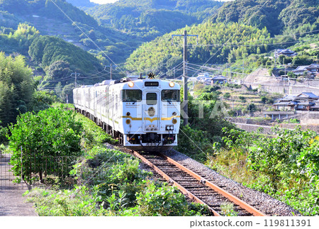 兩星4047 119811391