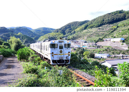 兩星4047 119811394