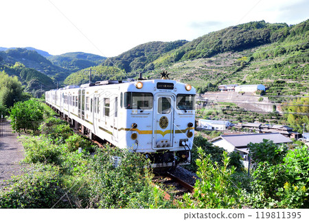 兩星4047 119811395