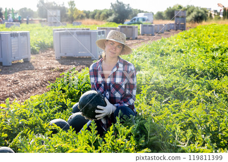 Satisfied woman farmer with watermelon in her hands on farmer field 119811399
