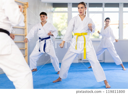 Group of people training karate technique Group of people training karate technique 119811800