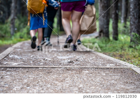 Selective focus on a family hiking on a woodchip path in the woods at Banff National Park 119812030