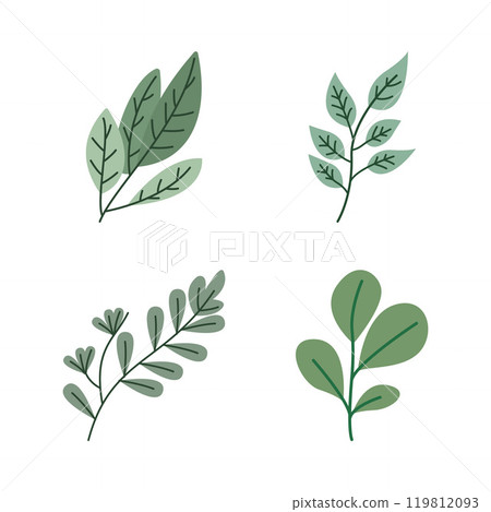 Element Set of Green Leaf Leaves Foliage Fresh Natural Nature Plant 119812093