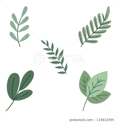 Element Set of Green Leaf Leaves Foliage Fresh Natural Nature Plant 119812095