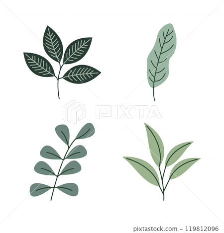 Element Set of Green Leaf Leaves Foliage Fresh Natural Nature Plant 119812096