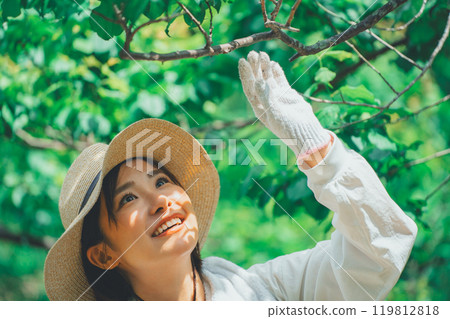 Trees and Farmers Trees and Farmers 119812818