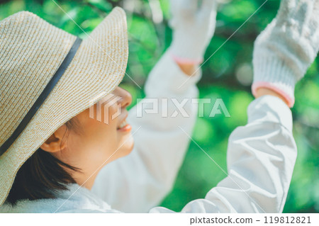 樹木和農民 119812821