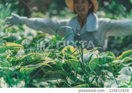 Hosta Leaf and Flower Farm 119812828