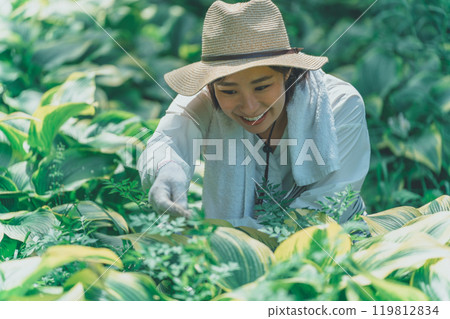 Hosta Leaf and Flower Farm Hosta Leaf and Flower Farm 119812834