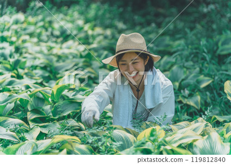 Hosta Leaf and Flower Farm Hosta Leaf and Flower Farm 119812840