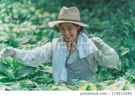 Hosta Leaf and Flower Farm Hosta Leaf and Flower Farm 119812846