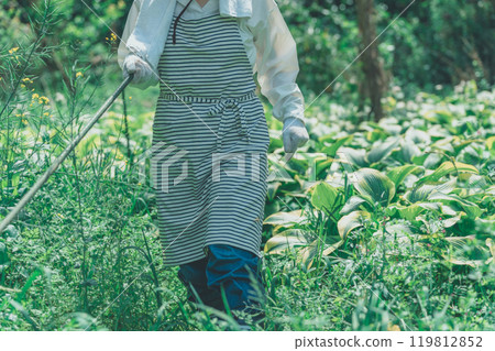 When walking through an area where there may be a snake, hit it with a stick before proceeding. When walking through an area where there may be a snake, hit it with a stick before proceeding. 119812852