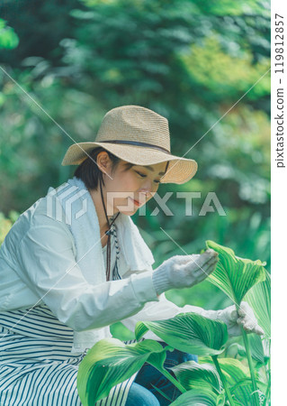 Hosta Leaf and Flower Farm Hosta Leaf and Flower Farm 119812857