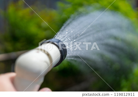 Watering the garden 119812911