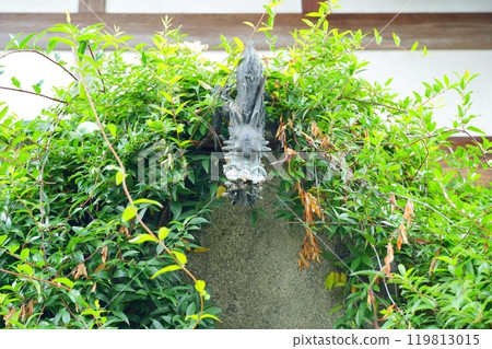 Dragon at the water basin of Ofusa Kannon Temple in Nara 119813015