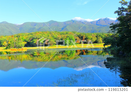 北海道遊記 九月下旬的知床五湖 秋葉的知床五湖 北海道遊記 九月下旬的知床五湖 秋葉的知床五湖 119813201