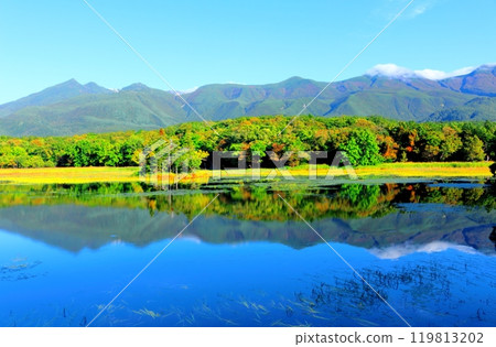 北海道遊記 九月下旬的知床五湖 秋葉的知床五湖 北海道遊記 九月下旬的知床五湖 秋葉的知床五湖 119813202