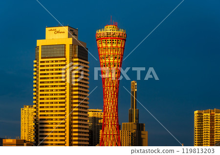 神戶港塔翻新後的夜景 神戶港塔翻新後的夜景 119813203