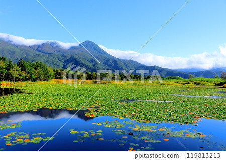 北海道遊記 九月下旬的知床五湖 秋葉的知床五湖 119813213