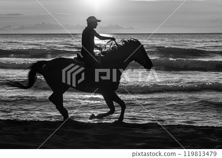 Horse Sea Coast Sunset-9 Horse Sea Coast Sunset-9 119813479