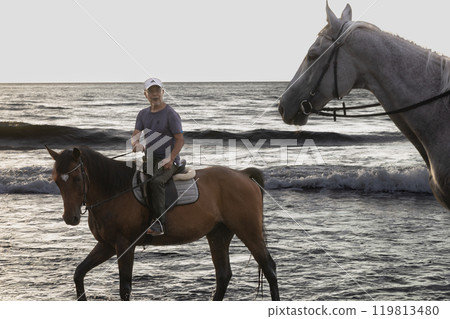 Horse Sea Coast Sunset-9 119813480